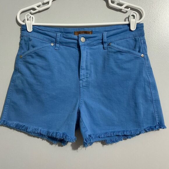 Judy Blue sky blue shorts with frayed edges size L - Picture 1 of 8